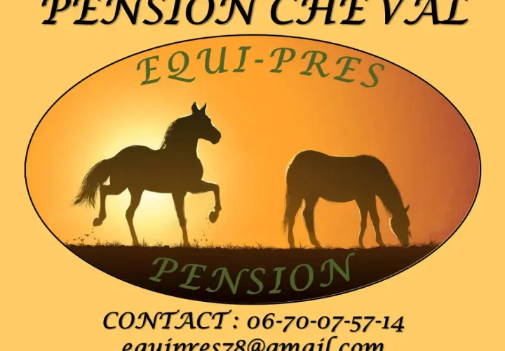 Pension pré cheval : Équi-Pres offre un cadre idyllique pour votre cheval. Contactez-nous pour connaître nos tarifs.