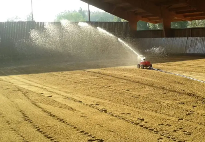 Arrosage d'une carrière équestre par un système mobile, créant un voile d'eau sur le sable.