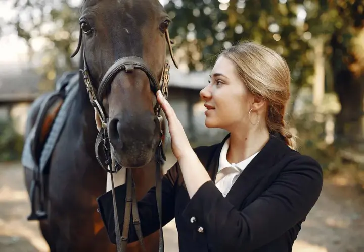 Une jeune femme caresse un cheval, prête pour le sport équestre.