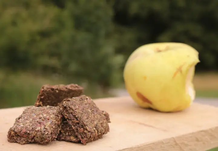 Trois friandises pour chevaux faites maison sans cuisson, à base de graines, à côté d'une pomme verte sur une planche en bois.