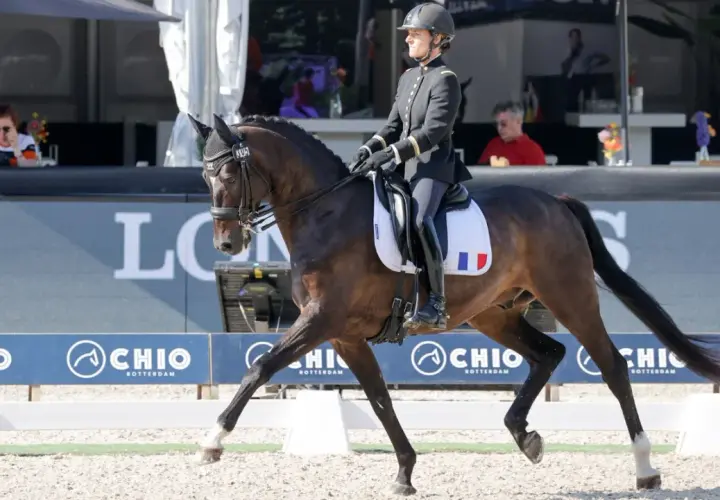 Cavalière française en tenue d'apparat, sur son cheval, lors d'une compétition. Le nombre de licenciés équitation France est en hausse.