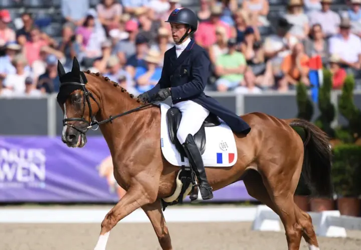 Cavalier en tenue de concours complet d'équitation, sur son cheval bai, en pleine action devant un public.