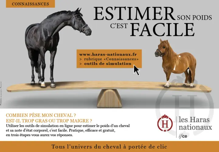 Un grand cheval noir et un poney roux sont sur une balance. L'image suggère d'estimer le poids de votre cheval, car combien de foin mange un cheval par jour dépend de son poids.