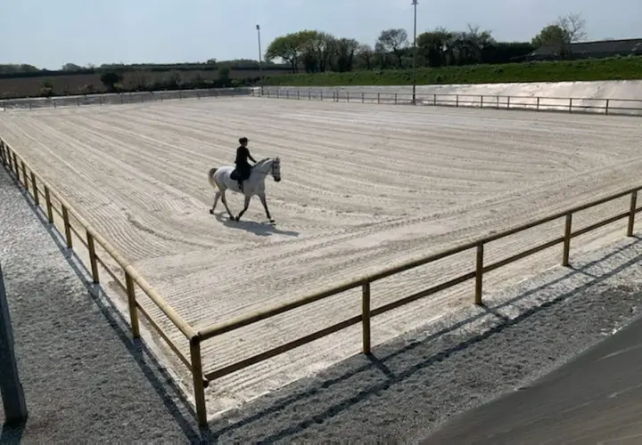 Un cavalier et son cheval blanc évoluent sur les lices d'une carrière d'équitation sablonneuse, sous un ciel bleu.