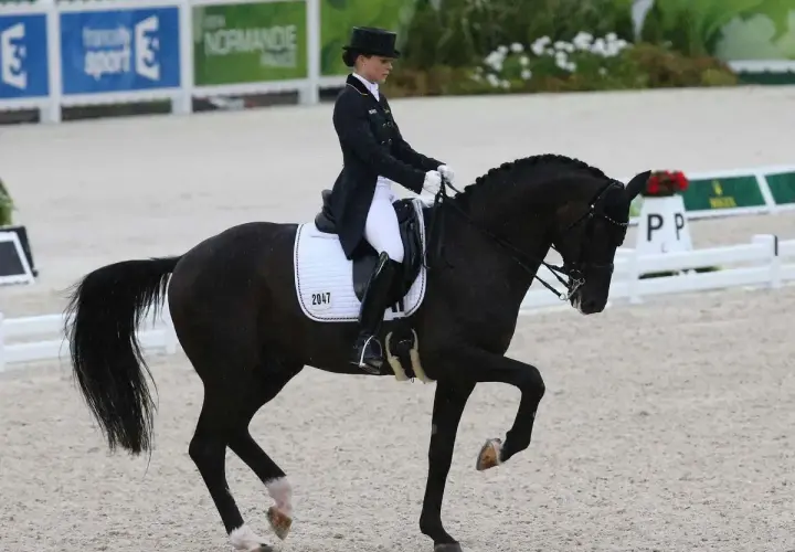 Une cavalière en tenue de compétition exécute une figure de haute école, démontrant la discipline de l'équitation. Le cheval noir est en mouvement, la patte avant levée.