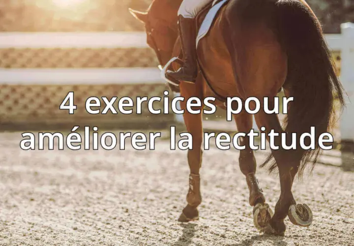 Un cavalier et son cheval travaillent sur la rectitude dans une carrière. 4 exercices pour améliorer la rectitude.