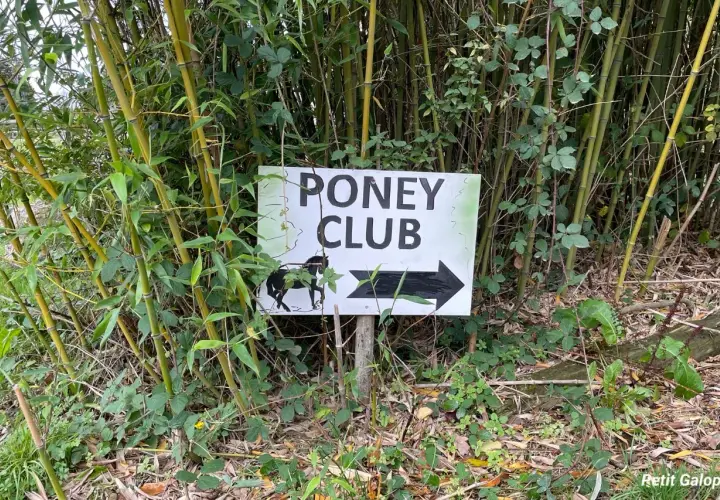 Panneau "Poney Club" avec un poney et une flèche, indiquant la direction. C'est la définition d'un centre équestre pour les plus jeunes.