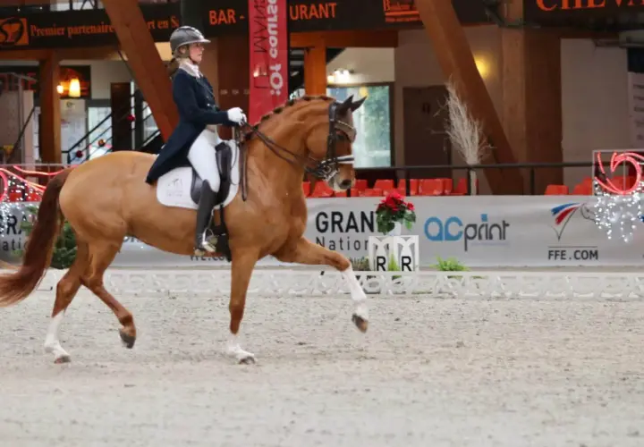 Une cavalière en tenue d'apparat mène un cheval alezan dans une arène. L'allure du cheval est majestueuse, ses pattes avant levées avec grâce.