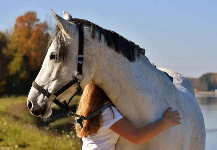Une jeune fille aux cheveux roux enlace tendrement un grand cheval blanc. Quel galop pour avoir un cheval aussi doux !