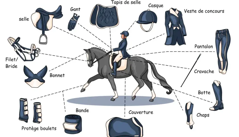 Illustration d'une personne prête à faire de l'équitation, avec tous les équipements nécessaires : selle, filet, bonnet, gant, tapis, casque, veste, pantalon, cravache, botte, chaps, protège boulets et bande.