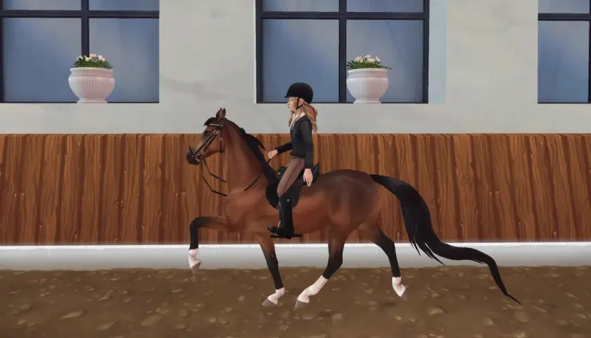 Une cavalière monte un magnifique American Saddlebred dans une carrière.