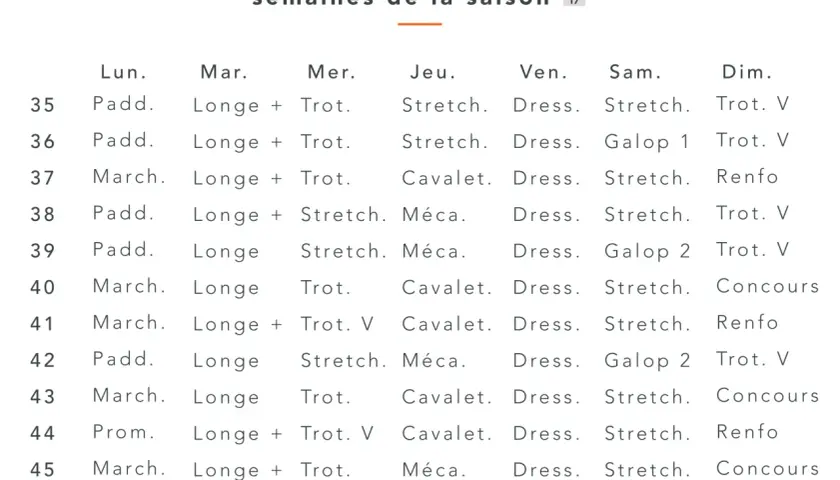 Planning de travail cheval pour 12 semaines, incluant paddock, longe, trot, étirements, travail à la cavalerie, mécanique, dressage et galop.