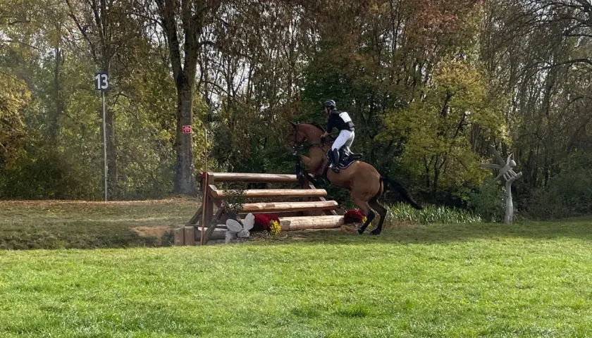 Cavalier et cheval franchissant un obstacle de cross galop 5, dans un décor automnal.