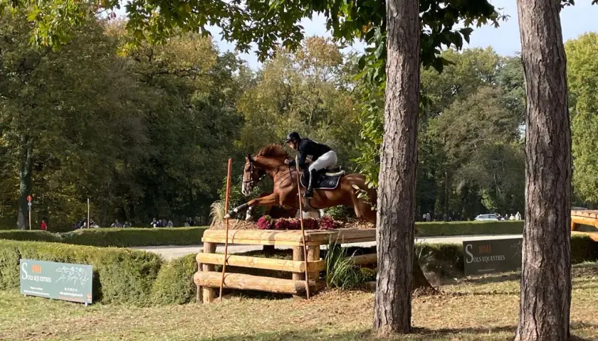 Un cavalier et son cheval brun franchissent un obstacle en bois lors d'un cross équestre.