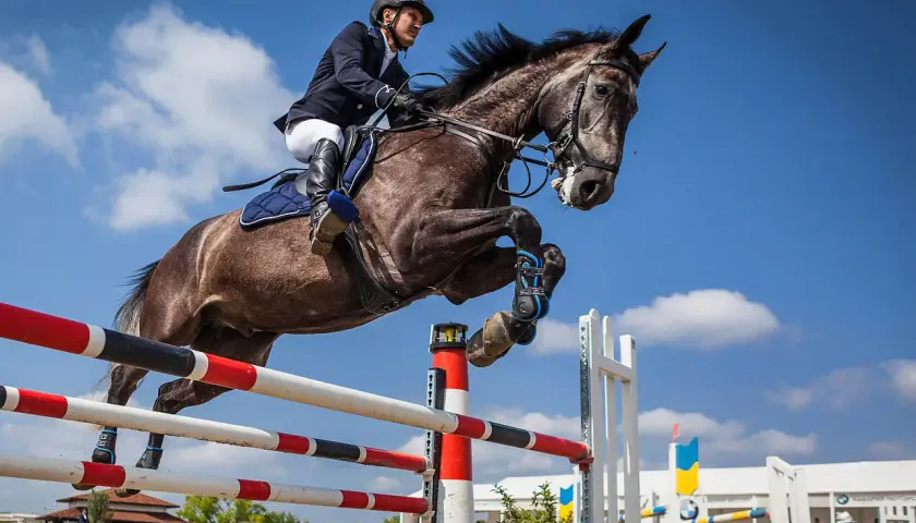 Un cavalier et son cheval réalisent un saut d'équitation spectaculaire dans un ciel bleu.