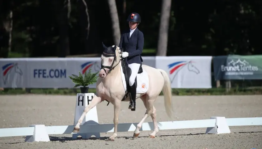 Une cavalière en tenue de concours exécute une figure de dressage, respectant le règlement du club. Le cheval blanc est élégant.