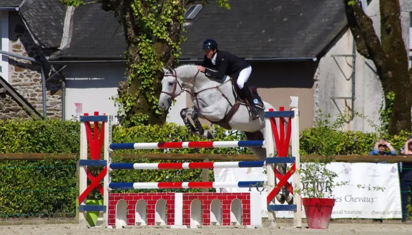 Un cheval gris et son cavalier en plein effort, capturant le **mécanisme du saut** au-dessus d'une barrière aux couleurs vives.
