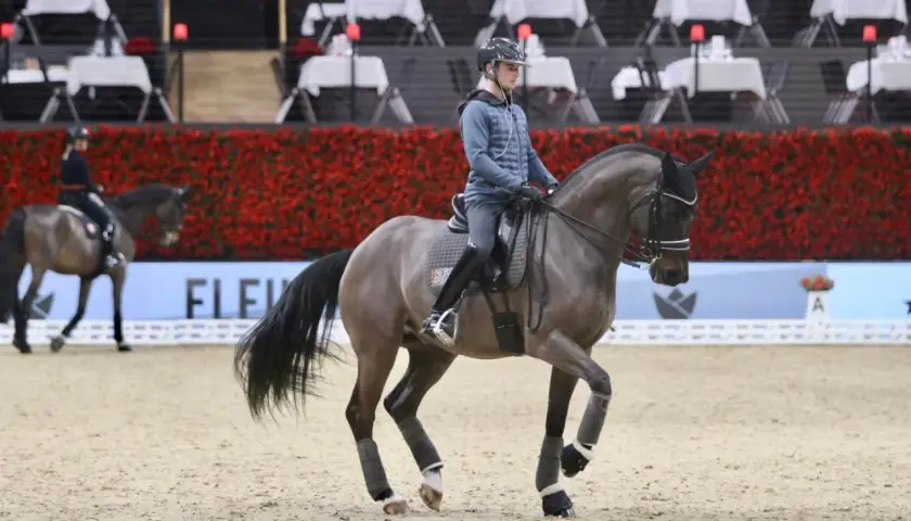 Un cavalier et son cheval gris évoluent sur le sable, le cheval semble vouloir monter en bride, prêt pour la compétition.
