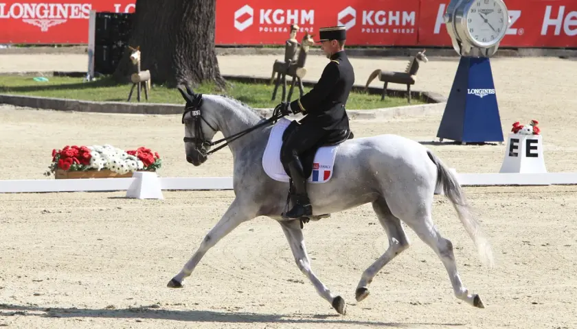 Cavalier en uniforme noir et chapeau, sur un cheval gris effectuant une serpentine 4 boucles. Le drapeau français est visible sur la selle.