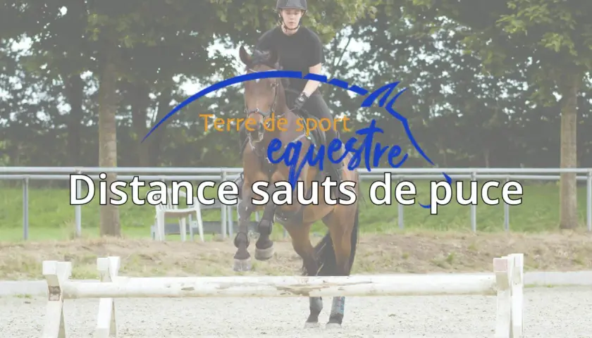 Cavalier et cheval en plein saut, le texte "Distance sauts de puce" est superposé.