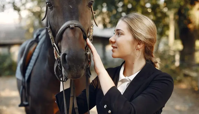 Une jeune femme caresse un cheval, prête pour le sport équestre.