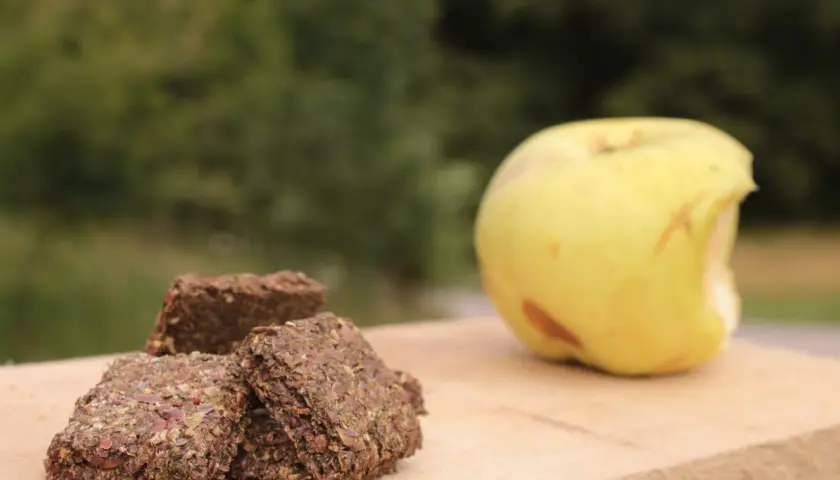 Trois friandises pour chevaux faites maison sans cuisson, à base de graines, à côté d'une pomme verte sur une planche en bois.