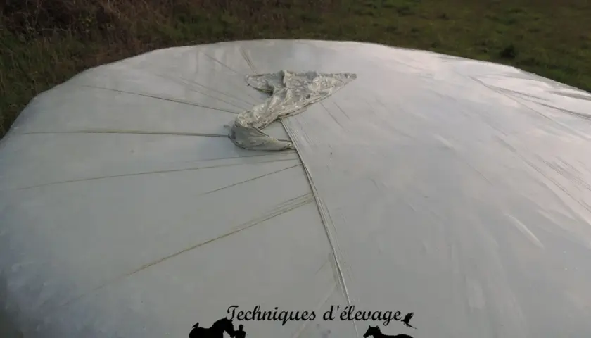 Gros plan sur une botte de matière sèche enrubannage, protégée par une bâche blanche tendue.