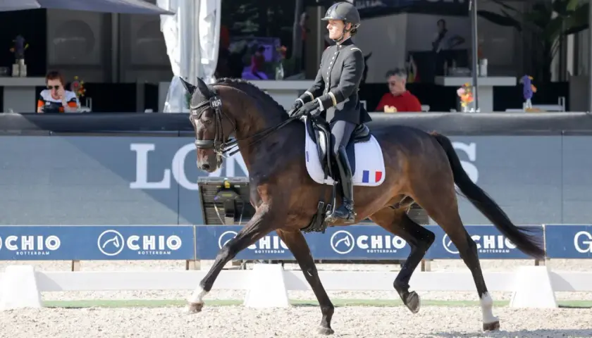 Cavalière française en tenue d'apparat, sur son cheval, lors d'une compétition. Le nombre de licenciés équitation France est en hausse.