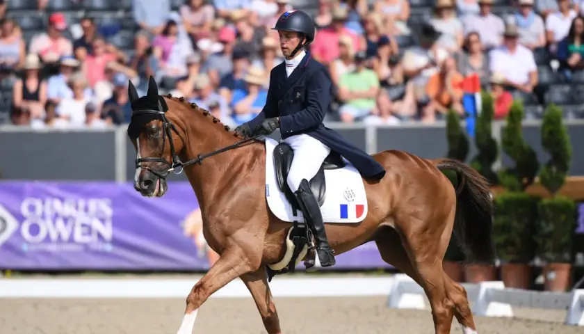 Cavalier en tenue de concours complet d'équitation, sur son cheval bai, en pleine action devant un public.