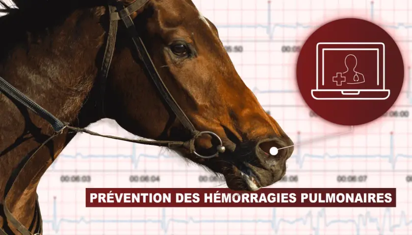 Tête de cheval avec un graphique d'ECG en arrière-plan. Une icône de télémédecine est visible, suggérant la prévention du **purpura hémorragique** chez les chevaux.