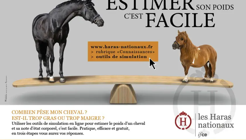 Un grand cheval noir et un poney roux sont sur une balance. L'image suggère d'estimer le poids de votre cheval, car combien de foin mange un cheval par jour dépend de son poids.
