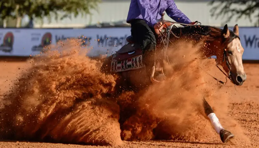 Un cheval de course race exécute un virage serré, soulevant un nuage de poussière rouge.