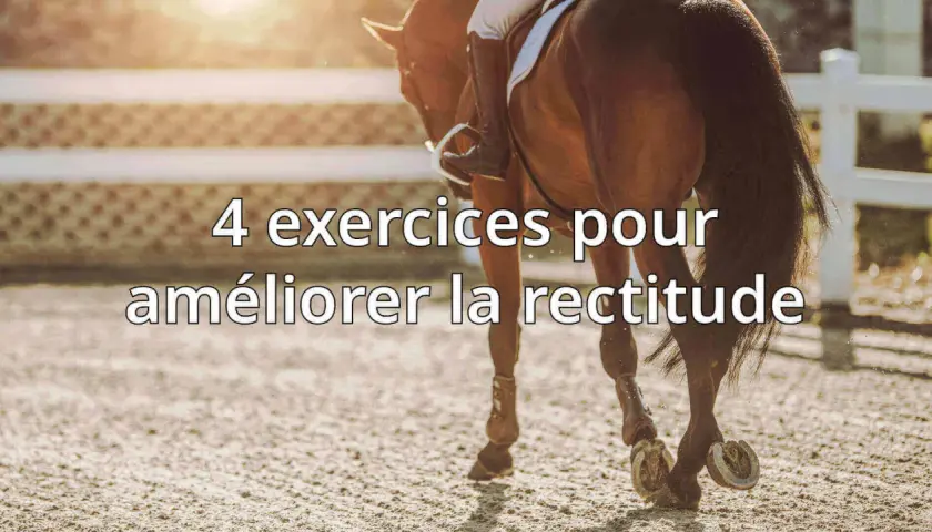 Un cavalier et son cheval travaillent sur la rectitude dans une carrière. 4 exercices pour améliorer la rectitude.
