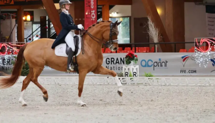 Une cavalière en tenue d'apparat mène un cheval alezan dans une arène. L'allure du cheval est majestueuse, ses pattes avant levées avec grâce.