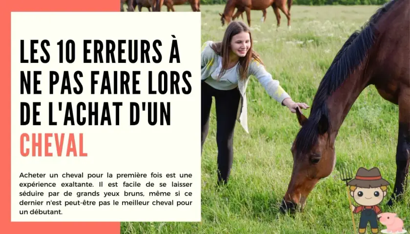 Jeune fille caressant un cheval dans un pré. Le texte parle des erreurs à éviter lors de l'achat d'un cheval, abordant la réglementation cheval sur terrain privé.