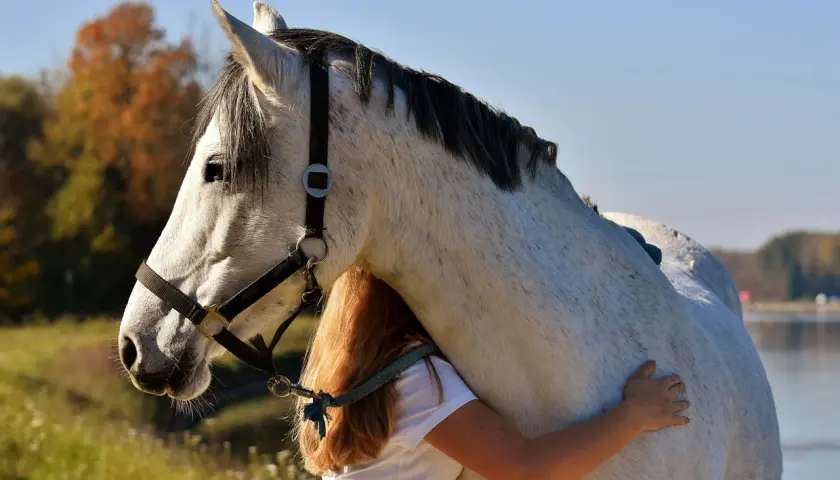 Une jeune fille aux cheveux roux enlace tendrement un grand cheval blanc. Quel galop pour avoir un cheval aussi doux !