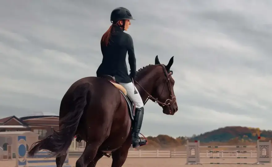 Dressage Galop 7 - Maîtrisez les exercices clés !