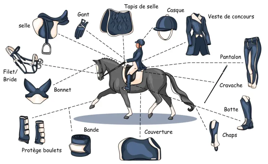 Équitation débutant - Guide complet pour bien démarrer