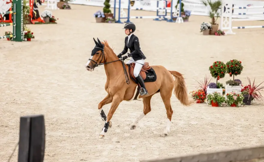 Volte à cheval - Maîtrisez l'équilibre et le dressage