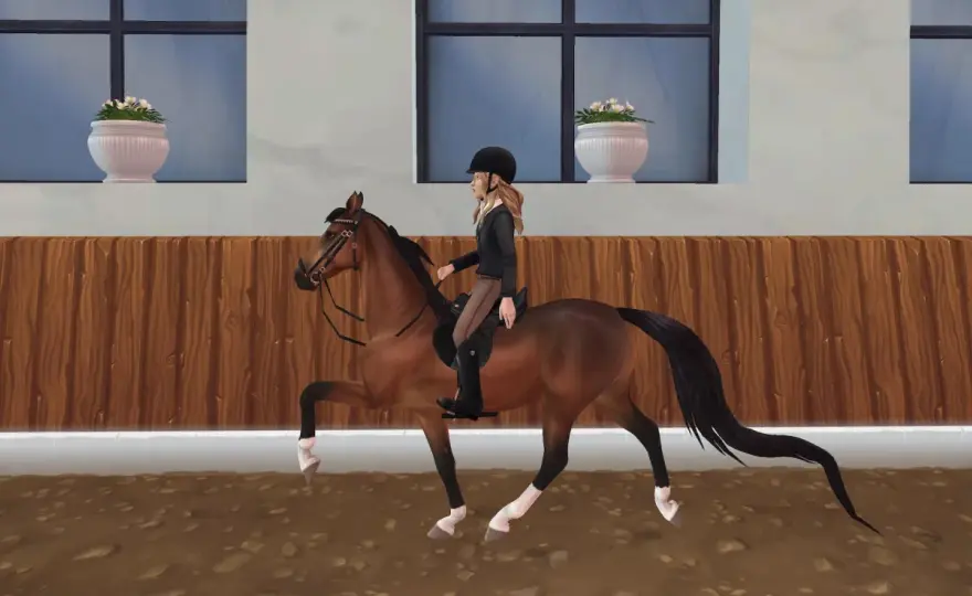 American Saddlebred - Au-delà du spectacle: guide complet