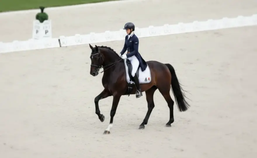 Races équines françaises - Guide complet pour bien choisir