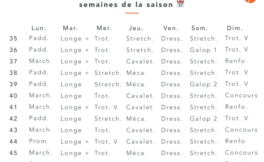 Planning travail cheval - Progressez sans surcharger !