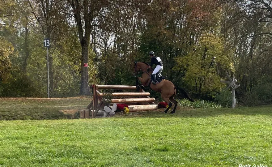 Cross Galop 5 - Maîtrisez les obstacles et progressez !