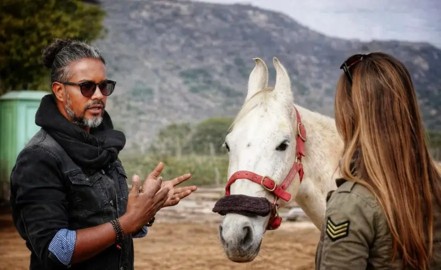 Cheval Marwari - Au-delà des oreilles recourbées