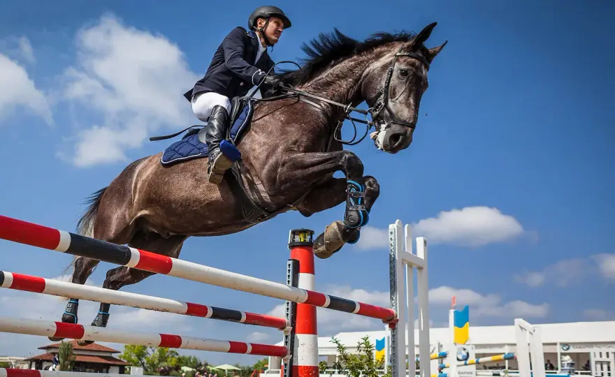 Saut d'obstacles - Maîtrisez le galop et la position du cavalier