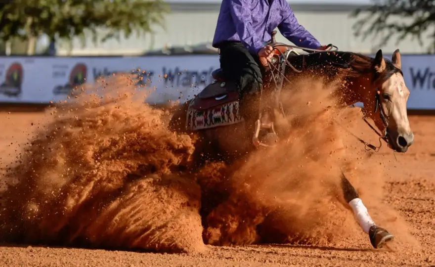 Reining à cheval - Comprendre la discipline et progresser