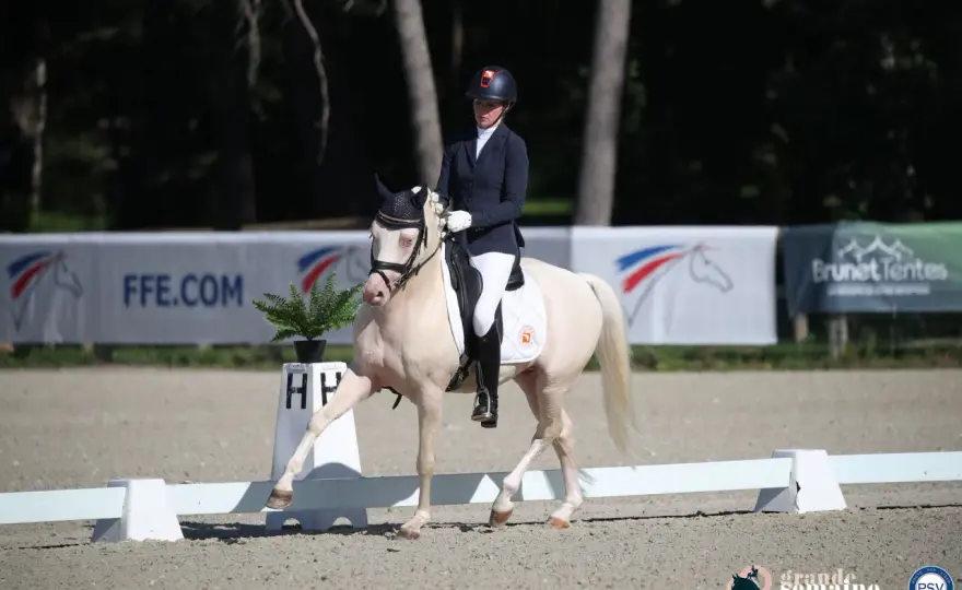 Dressage Club FFE - Révélez le potentiel de votre poney