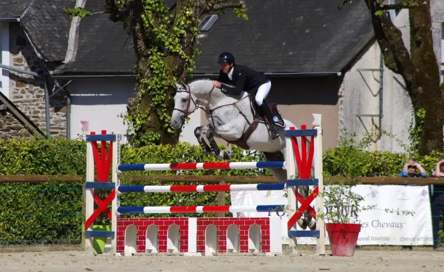 Mécanisme du saut à cheval - Les clés d'un saut juste
