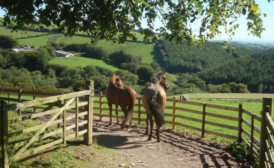 Paddock paradise - Créez le circuit idéal pour votre cheval