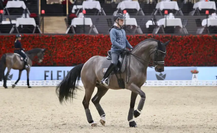 Bride complète - Guide pour un dressage réussi